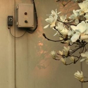 Meet your Posher, Sharareh